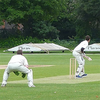 Burton Court Cricket