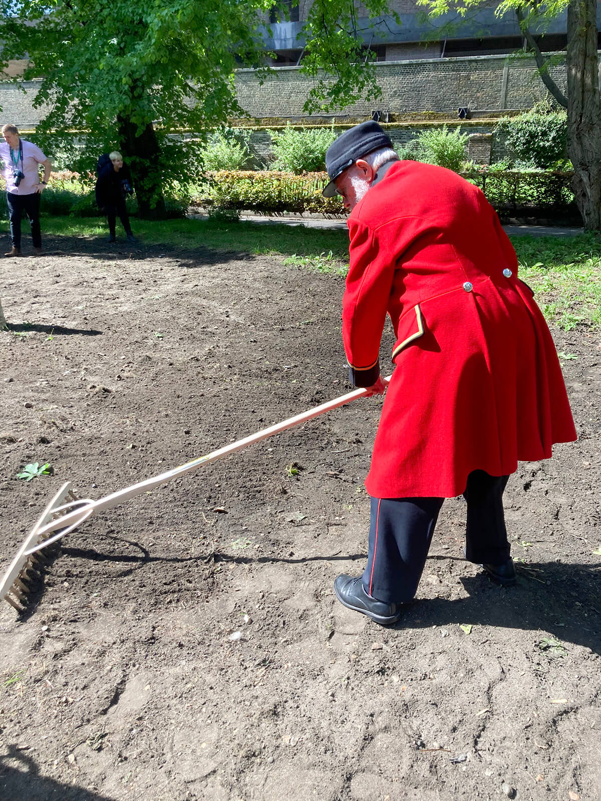 Chelsea Pensioners Preparing the Ground for Sowing the Seeds