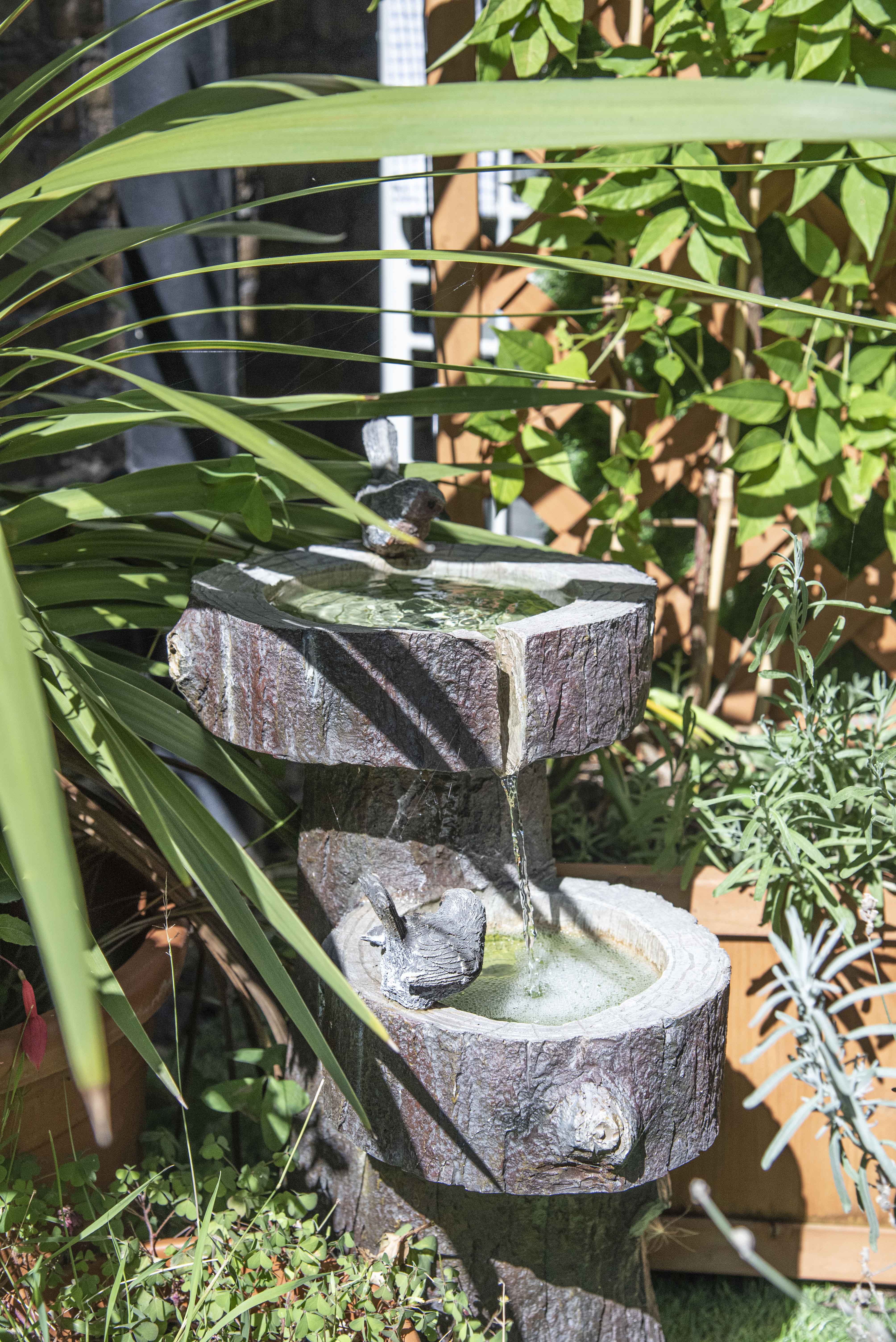 Fountain in Archie's garden