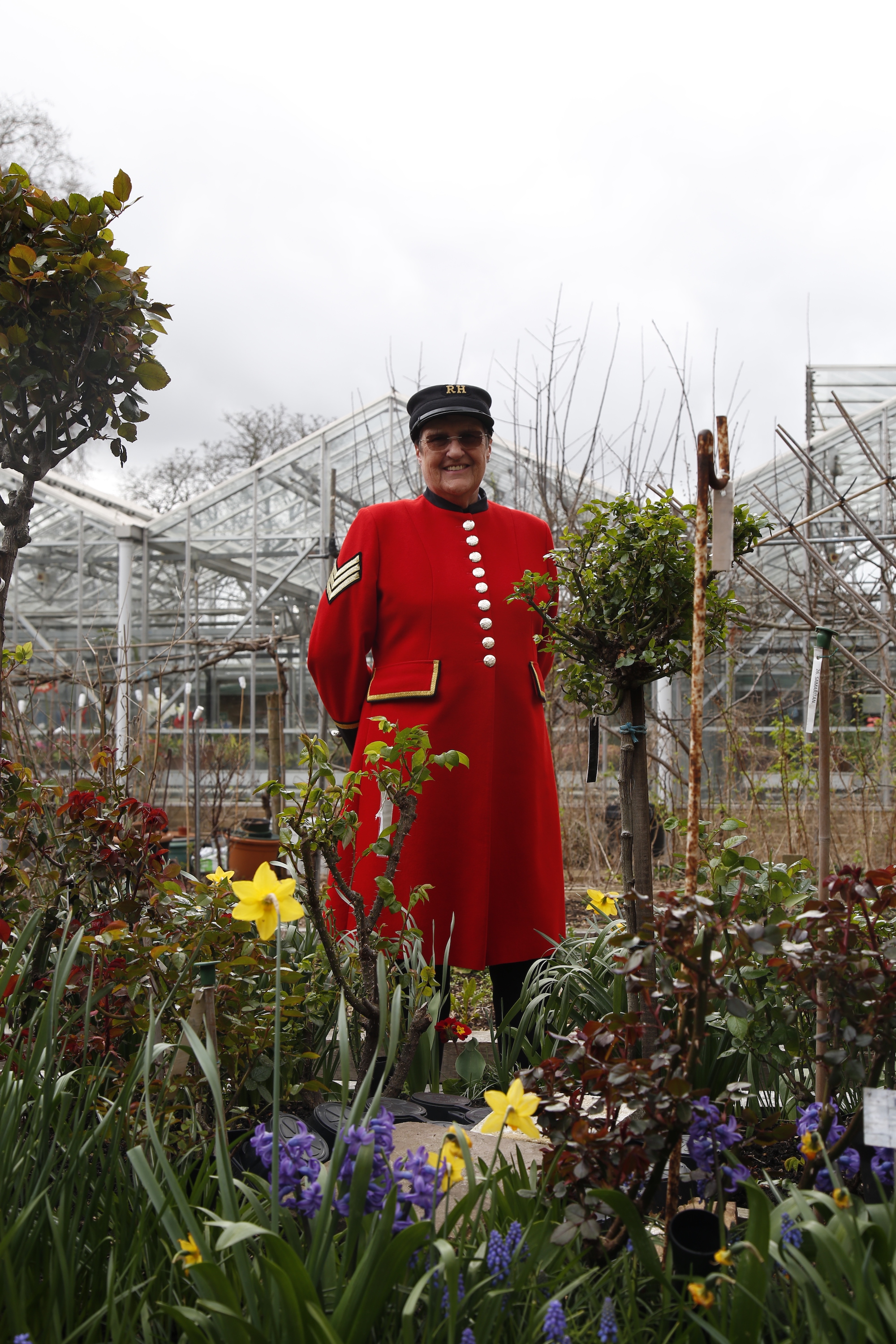 Chelsea Pensioner in scarlet uniform stood behind flowers